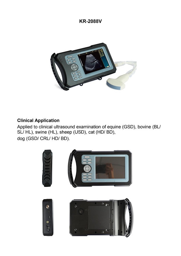 Ứng dụng siêu âm lâm sàng trên ngựa (GSD), bò (BL/ SL/ HL), lợn (HL), cừu (USD), mèo (HD/ BD), chó (GSD/ CRL/ HD/ BD)